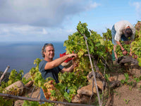 Five-course Bibi Graetz Wine Dinner | 18 September 2026 (Signature Club Exclusive)