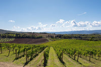 Five-course Bibi Graetz Wine Dinner | 18 September 2026 (Signature Club Exclusive)