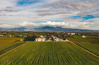 Six-course Villa Matilde Wine Dinner | 17 July 2026 (Signature Club Exclusive)
